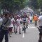 La Ciclo-Vida (CicloVia) llega a Sevilla La Ciclo-Vida (CicloVia) llega a Sevilla