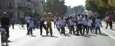 Próximo domingo 16 de Enero, 3ª Ciclovida de Sevilla