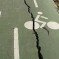 La suciedad y la dejadez deterioran el carril bici La suciedad y la dejadez deterioran el carril bici
